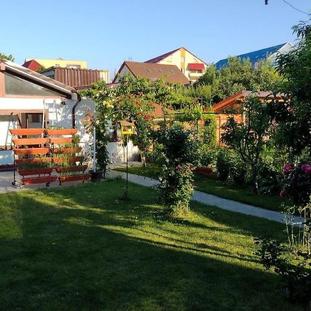 锡比乌Casa Ienciu公寓 外观 照片