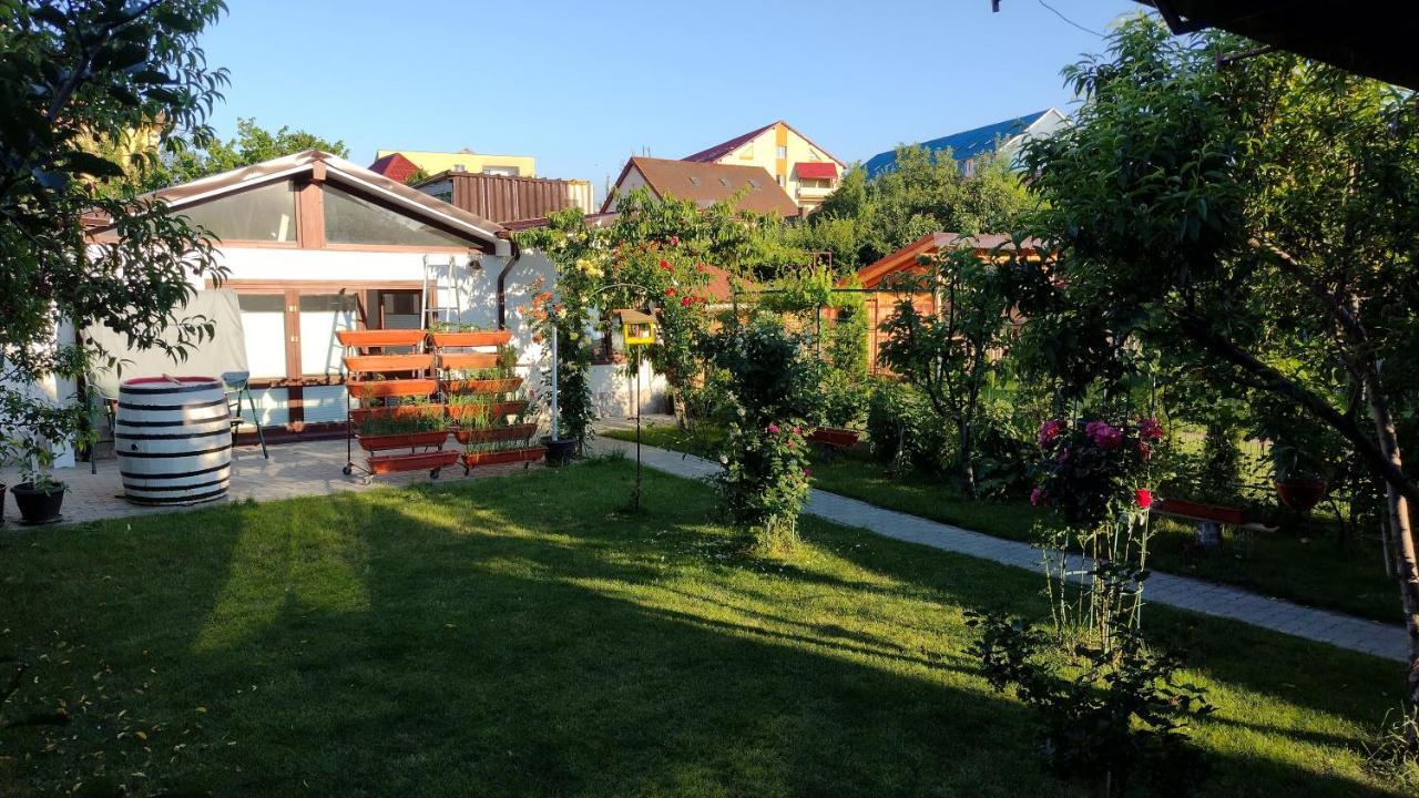 锡比乌Casa Ienciu公寓 外观 照片
