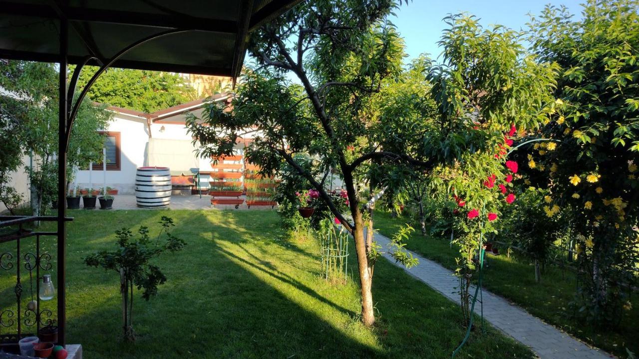锡比乌Casa Ienciu公寓 外观 照片